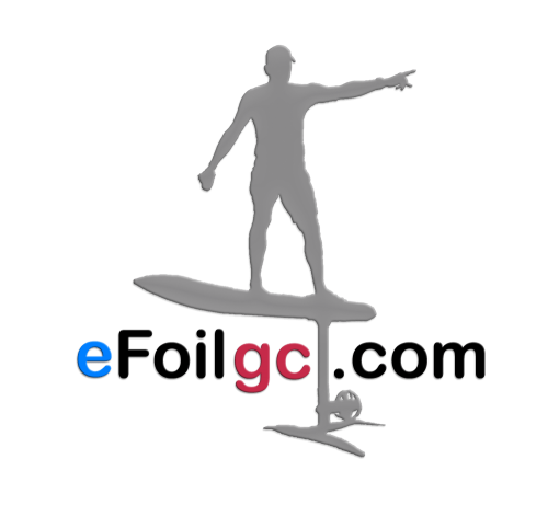 efoilgc.com logo