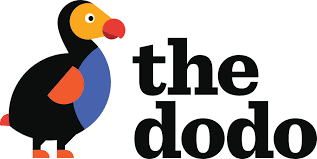The Dodo network